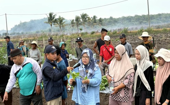 UBB Perkuat Kapasitas Petani Batu Betumpang melalui Edukasi dan Praktik Pascapanen Hortikultura