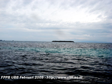 foto Pulau Ketawai. Tampak dari atas berwarna kecoklatan yang merupakan ekosistem terumbu karang